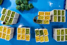 Mengulik perjalanan hasil bumi Yunnan hingga menembus pasar ASEAN