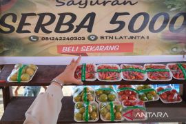 Gerakan pangan murah Sultra Page 3 Small