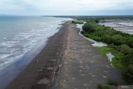 Dampak abrasi di Pantai Cemara Banyuwangi