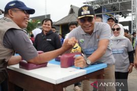 Kotabaru holds traditional sport games
