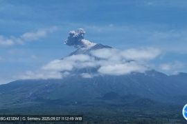 Semeru empat kali erupsi dengan tinggi letusan hingga 700 meter