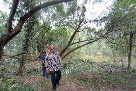 Bupati Jayapura pastikan kebersihan lingkungan kantor dengan patroli keliling