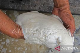 Unpatti Ambon siapkan sumber daya dukung inovasi pengolahan sagu