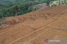 Distankan: 50 hektare sawah cetak baru di Rejang Lebong siap tanam