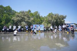 Pertamina Patra Niaga Sulawesi luncurkan program Ecoeduwisata Mangrove