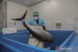 Sertifikasi halal produk perikanan tingkatkan daya saing