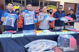 Polda Papua tangkap 4 WNA China terlibat tambang ilegal di Senggi, Jayapura