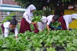 10 sekolah di Kota Serang jadi target program urban farming