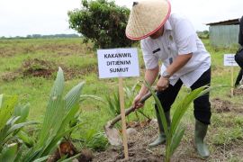 Imigrasi Sumut tanam 2.000 bibit kelapa perkuat ketahanan  pangan