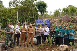 Dukung Asta Cita Presiden, Imigrasi Sabang lakukan penanaman kelapa di Desa Jaboi dan Batee Shok