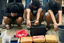 Polres Karawang tangkap tiga pelaku pengedar narkoba jenis ganja