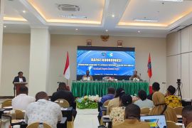 Dinkes Papua Barat Daya optimalkan perbaikan pelaporan SPM