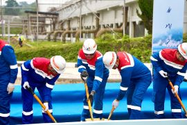 Pemerintah dukung pengembangan ekosistem hidrogen hijau Pertamina