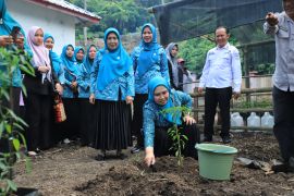 TP-PKK Lampung Barat kembangkan program P2L untuk dukung ketahanan pangan