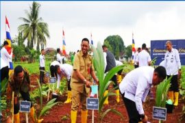 Pemkab Tala tanam 5.000 bibit pohon kelapa dukung ketahanan pangan