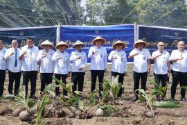 Kanwil Imigrasi Sulut tanam 200 bibit kelapa dukung ketahanan pangan