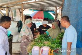 LPKA Kendari kembangkan keterampilan anak binaan melalui pertanian