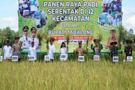 Kalsel raih peringkat pertama Indeks Ketahanan Pangan 2025