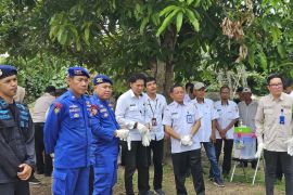 DKP Kalsel musnahkan 900 telur penyu ilegal