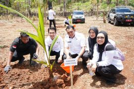 Kakanim Parepare : Kelapa perkuat ketahanan pangan dan buka peluang usaha