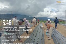 Menilik semangat petani muda Alahan Panjang menuju pertanian ramah lingkungan