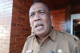 Pemkab Jayawijaya pastikan empat kelompok tani menerima bantuan dari BI