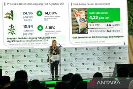 Swasembada beras bisa tercapai tahun ini