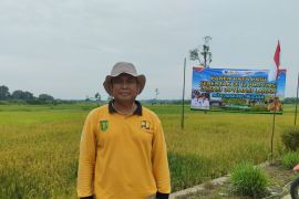 Dinas PUPR Tabalong targetkan pembangunan Jirak Food Cluster sepanjang 3,5 kilometer