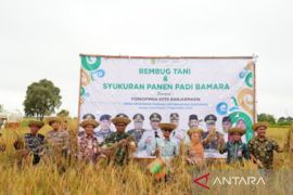 Banjarmasin gelar rembuk tani untuk ketahanan pangan dan luas lahan