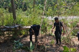 Imigrasi Labuan Bajo menanam 100 pohon kelapa dukung ketahanan pangan