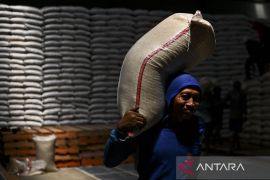 Kemenko Pangan prediksi swasembada beras bisa tercapai tahun ini