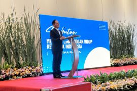 Menteri LH dalami faktor penyebab banjir di Bali