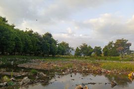 Hutan Kota Giong Siu disebut sabuk hijau mencegah banjir di Mataram