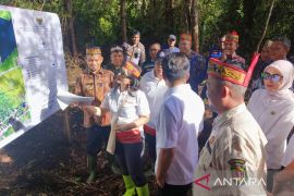 Kunjungi Katingan, Wamendiktisaintek tinjau empat lahan calon lokasi Sekolah Garuda