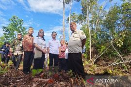 Wamendiktisaintek sebut Kalteng masuk lima besar