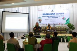 BBPOM Banjarbaru tingkatkan literasi keamanan bagi pelaku usaha jamu