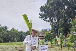Rutan Lubuk Sikaping tanam pohon kelapa dukung swasembada pangan nasional