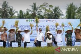 Pemprov Kaltim-BI gerakkan transformasi teknologi pertanian di Kukar