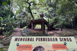 Pemkot Bandung disebut punya solusi Bandung Zoo