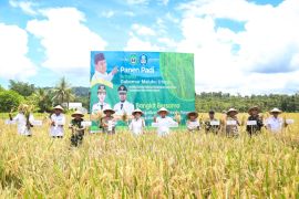 Pemprov Malut dukung ketahanan pangan di Halmahera Selatan