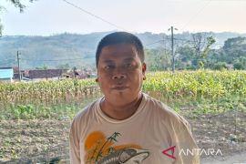 Korban sumur minyak ilegal Blora  berharap pindah ke tempat aman