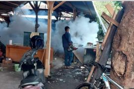 Mataram imbau warga waspada penyakit musim hujan