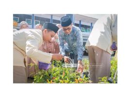 Sekolah di Kota Mataram hasilkan 200 kilogram cabai dari halaman