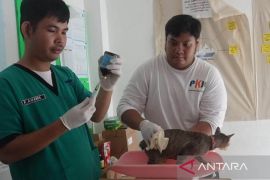 Cegah rabies, Babel buka layanan kesehatan hewan gratis