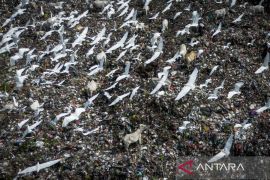 PLTSa ditargetkan tambah pasokan energi hijau dan kurangi sampah perkotaan