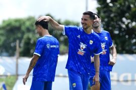 Skor Madura United vs Persib 1-4, Thom Haye sumbang satu gol