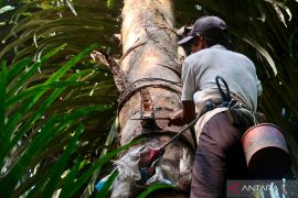 NTB perkuat ketahanan pangan dan wisata