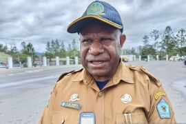 Pemkab Jayawijaya membangun jembatan timbang trans Jayapura-Wamena 2025