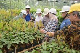 Mondelez Indonesia dorong kolaborasi multi sektor guna wujudkan sektor kakao yang berkelanjutan