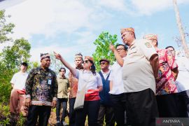 Kemendikti Saintek: Sekolah Garuda beroperasi pada 2026